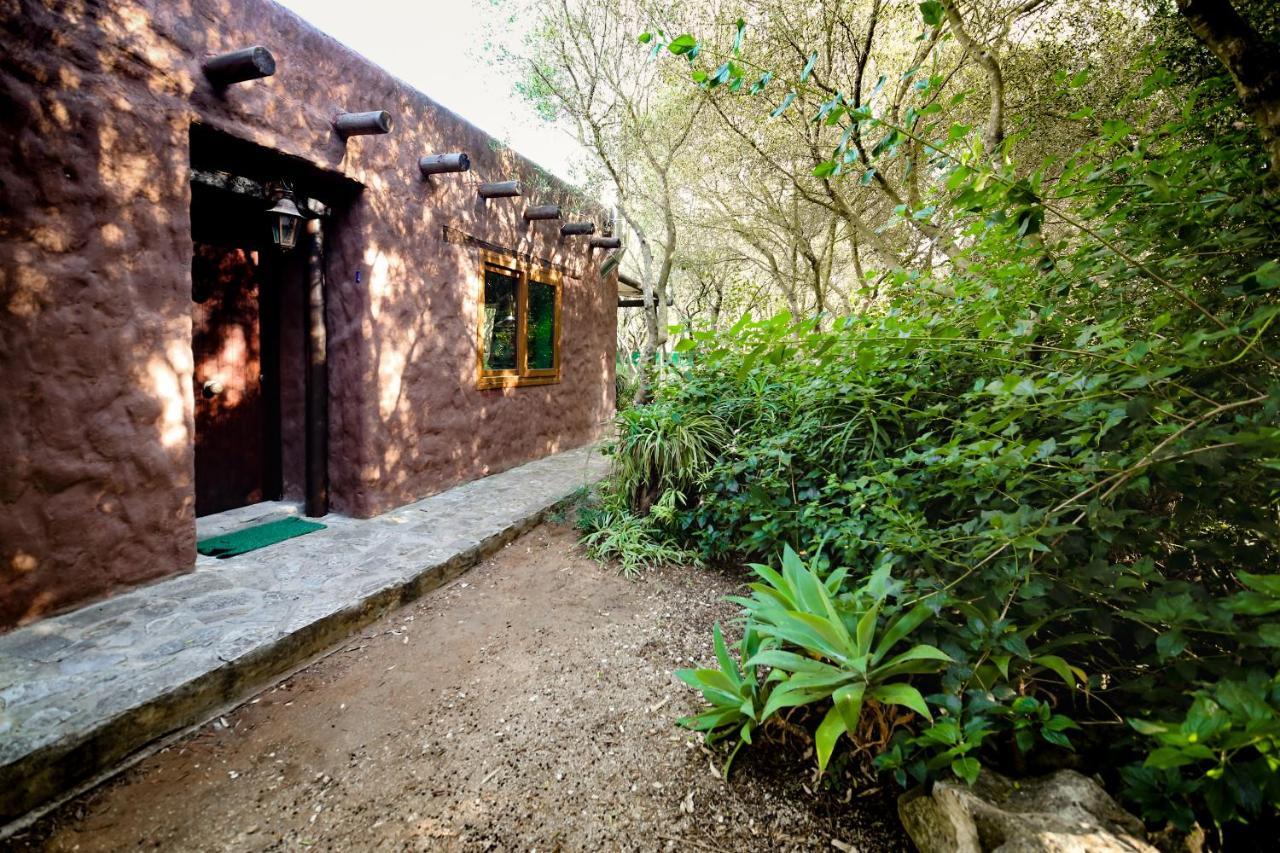 Tikal Boungalows Hotel Malcocinado  Eksteriør billede