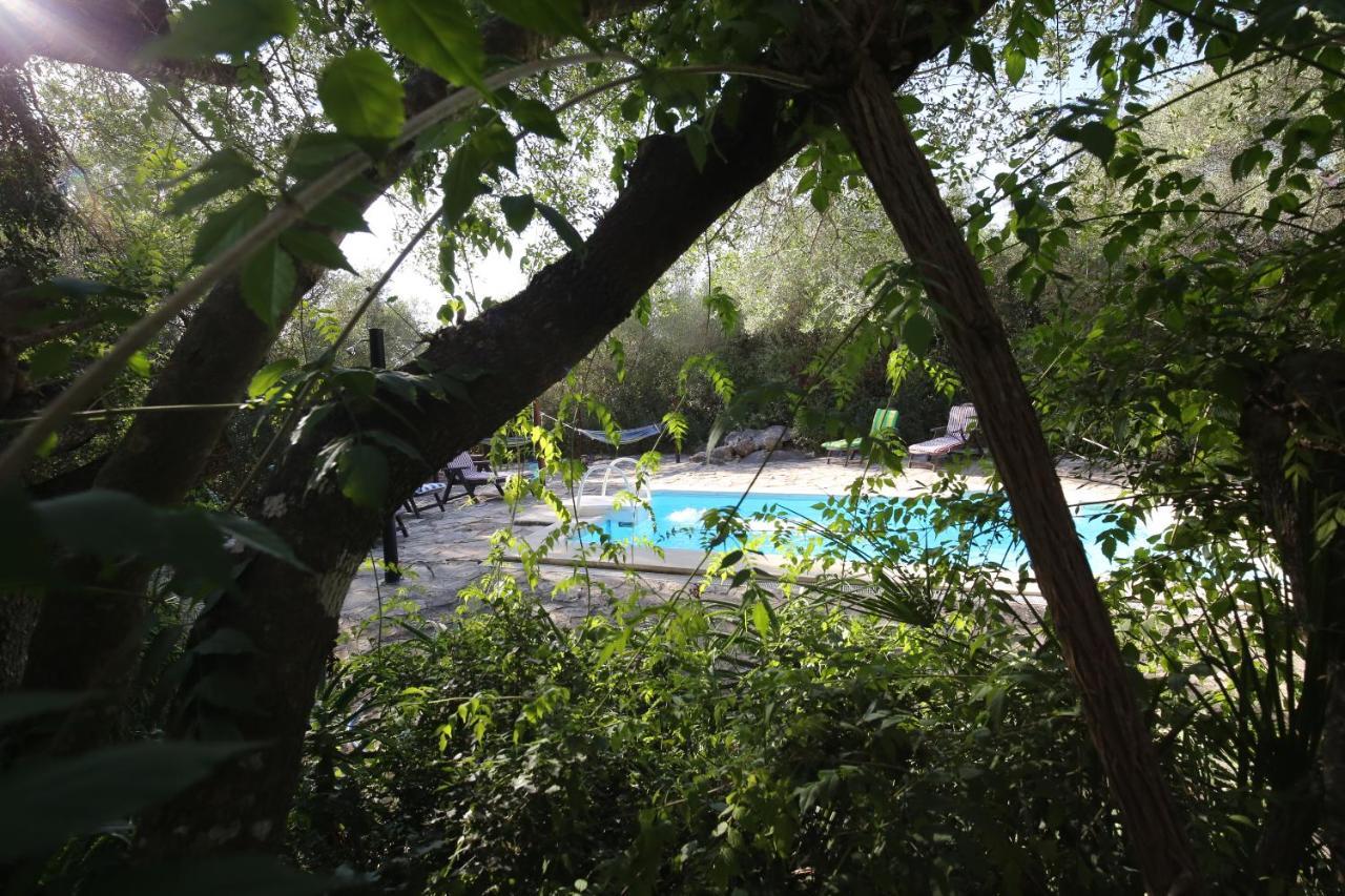 Tikal Boungalows Hotel Malcocinado  Eksteriør billede